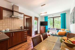 Апартаменты Apartament Olivia Zakopane Закопане Апартаменты с 1 спальней и террасой-15